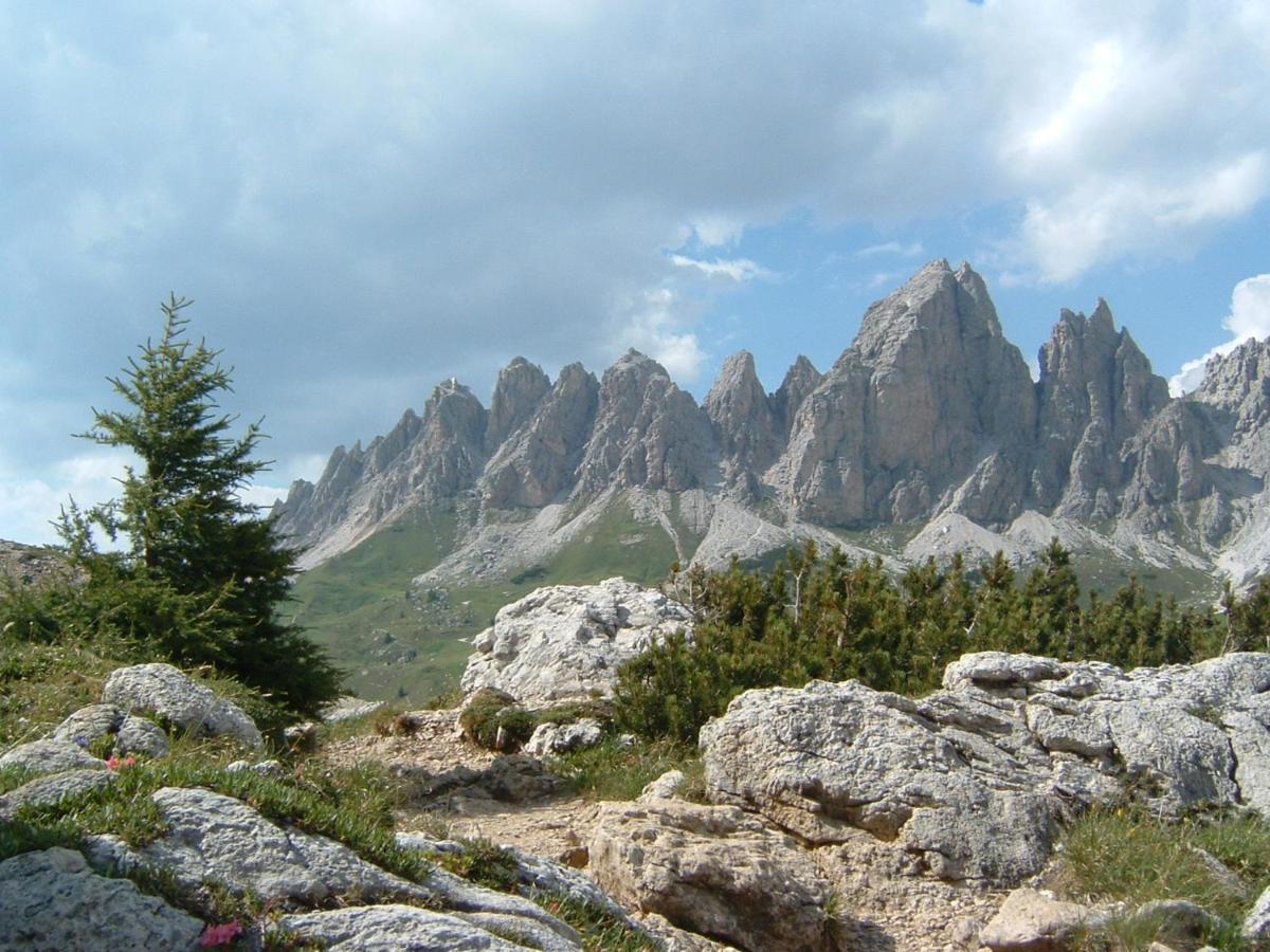 Appartamento Dolomiti Сельва-ди-Валь-Гардена Экстерьер фото